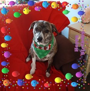 Meet your Posher, Melanie